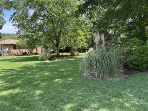 Landscape Design service from A.R.C Landscaping in Virginia Beach