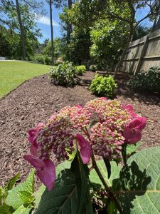 Landscape Design service from A.R.C Landscaping in Virginia Beach