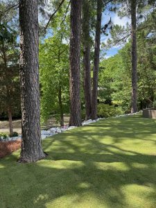 Landscape Design service from A.R.C Landscaping in Virginia Beach